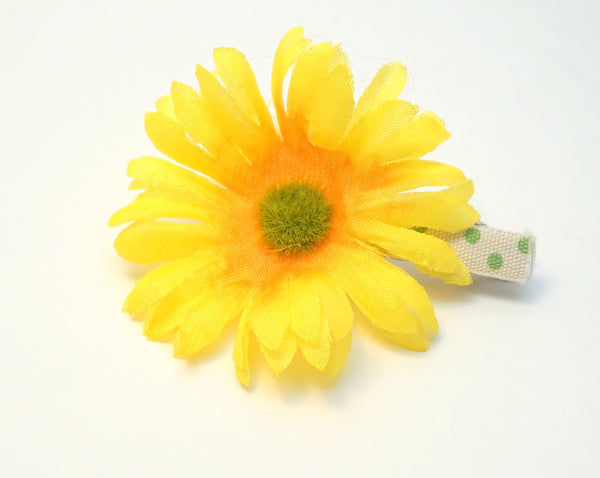 Artsy Hair Clip Collection